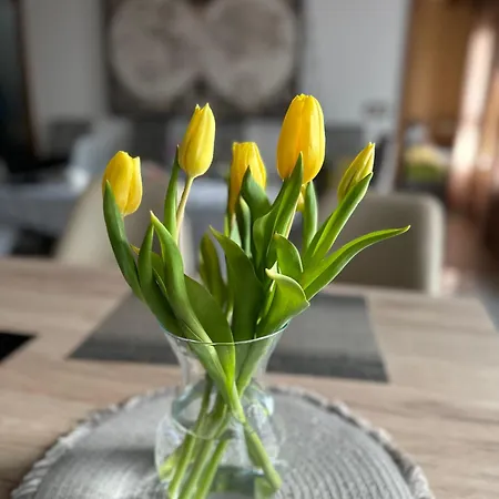 M18 - Csak Egy Lepes A Toertenelmi Belvaros - Free Parking