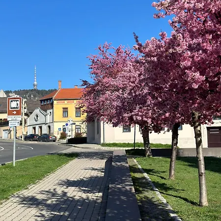 Apartment M18 - Csak Egy Lepes A Toertenelmi Belvaros - Free Parking
