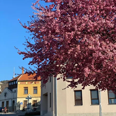 M18 - Csak Egy Lepes A Toertenelmi Belvaros - Free Parking Apartment Pecs