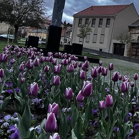 M18 - Csak Egy Lepes A Toertenelmi Belvaros - Free Parking *