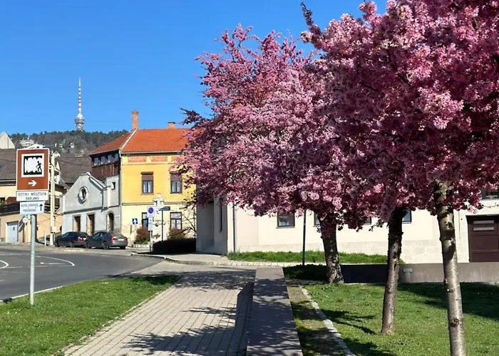 Apartament M18 - Csak Egy Lepes A Toertenelmi Belvaros - Free Parking