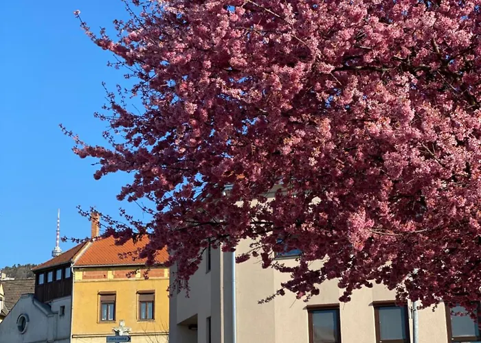 M18 - Csak Egy Lepes A Toertenelmi Belvaros - Free Parking Apartament Pécs